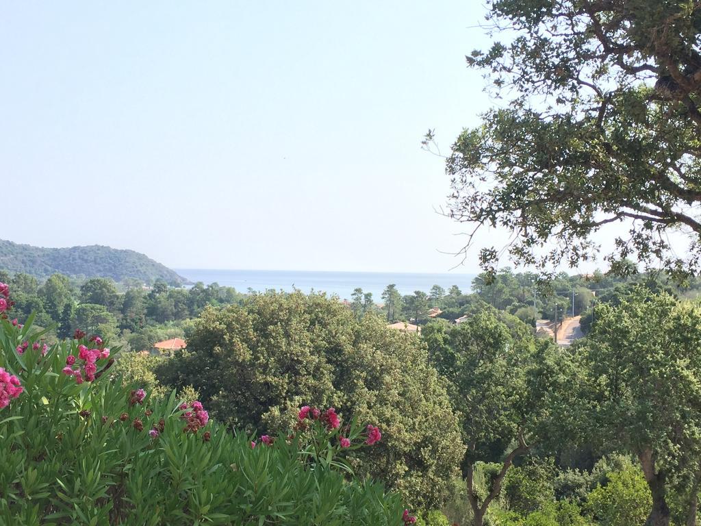 Thalassa Sainte-Lucie de Porto-Vecchio Bagian luar foto